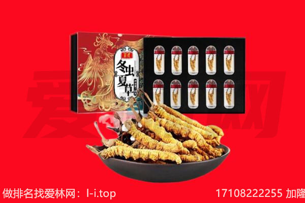 清远市连山回收虫草.jpg